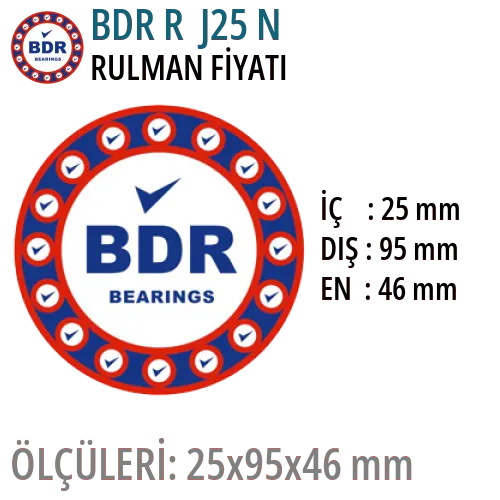BDR R J25 N Rulman Fiyatı ve Boyutları